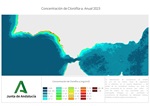 Imagen de concentración de Clorofila-a 2023