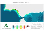 Ver imagen ampliada