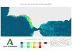 Ampliar imagen
