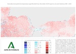 Ampliar imagen