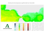 Temperatura superficial del mar (SST). Enero 2024