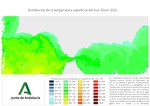 Temperatura superficial del mar (SST). Enero 2025