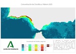 Ampliar imagen