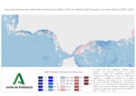 Ampliar imagen