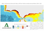 Ampliar imagen