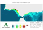 Ampliar imagen