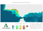Ampliar imagen