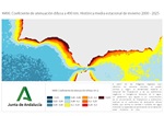 Ampliar imagen