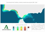 Ampliar imagen