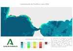 Ampliar imagen