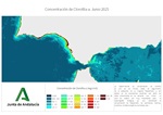 Ampliar imagen