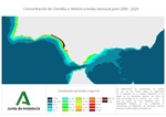 Ampliar imagen