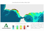 Ampliar imagen