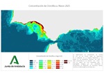 Ampliar imagen