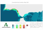 Ampliar imagen