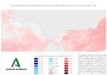 Ampliar imagen