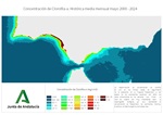 Ampliar imagen