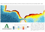 Ampliar imagen