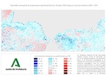 Ampliar imagen