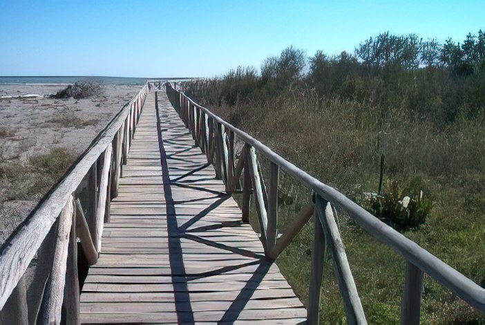 Pasarela de madera en un paisaje de costa