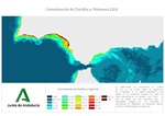 Ampliar imagen