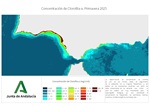 Ampliar imagen