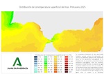 Ampliar imagen