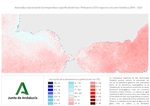 Ampliar imagen