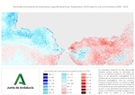 Ampliar imagen