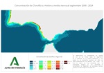 Ampliar imagen