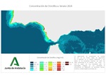Ampliar imagen