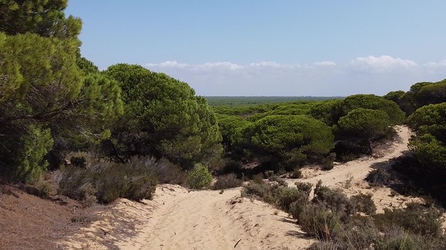 Normativa relacionada marca Parque Natural de Andalucía
