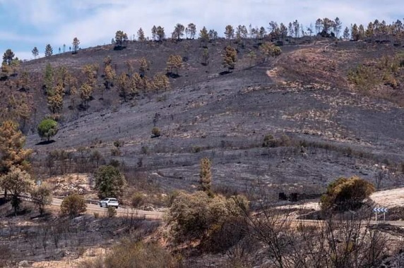 Plan Integrado de Caza del terreno afectado por el incendio de 