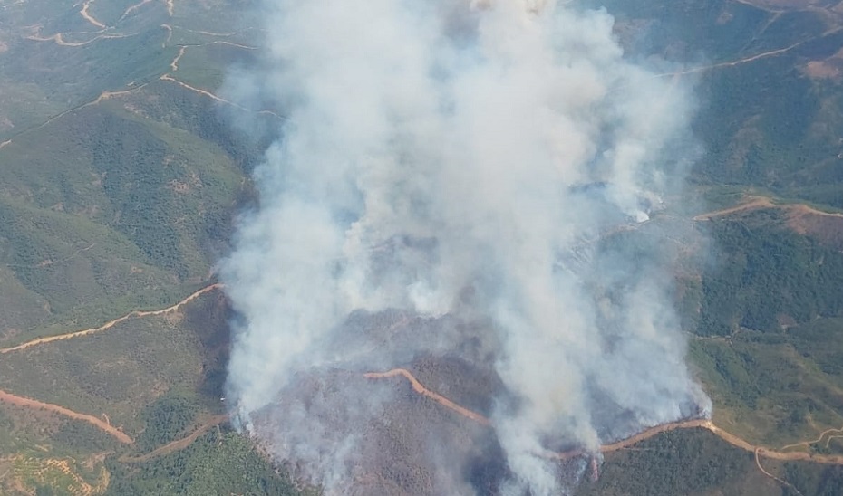Plan integrado de caza del terreno afectado por el incendio de “Pujerra”, en la provincia de Málaga. Junio 2022