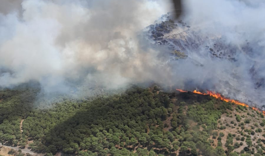 Plan integrado de caza del terreno afectado por el incendio de “Sierra de Mijas”, en la provincia de Málaga. Julio 2022