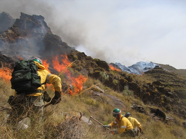 Plan INFOCA. Marco de referencia frente a incendios forestales en Andalucía