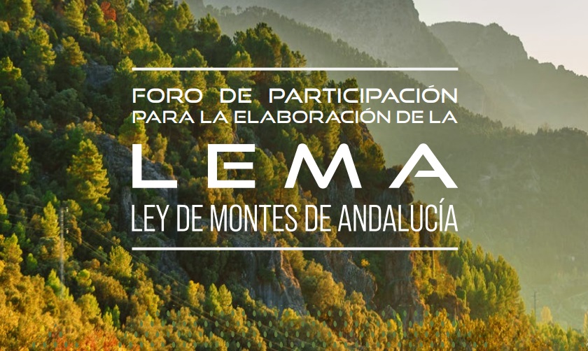 Foro de participación para la elaboración de la Ley de Montes de Andalucía