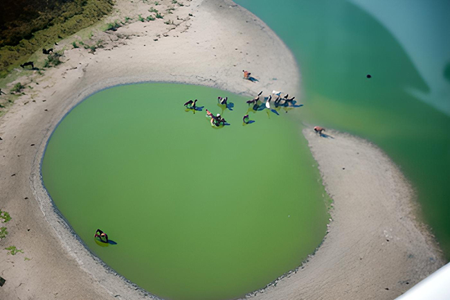 Enlace - Inventario de Humedales de Andalucía (IHA)