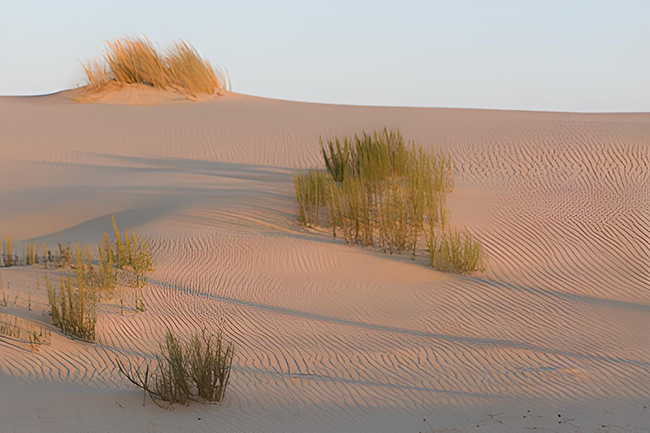 Enlace - Ámbito Plan de recuperación y conservación de dunas, arenales y acantilados costeros