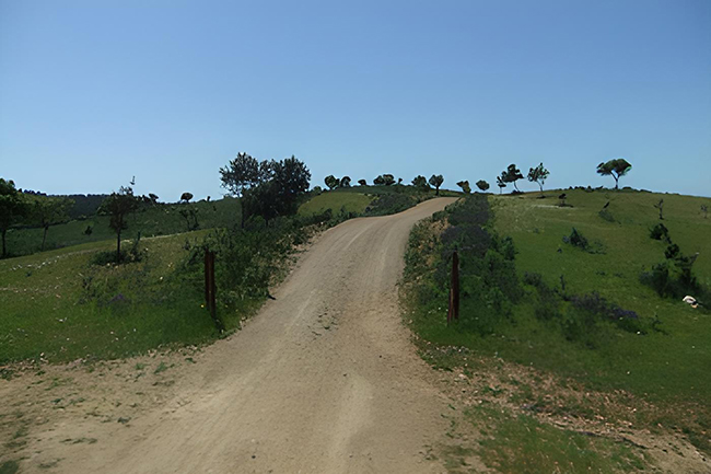 Inventario de vías pecuarias, lugares asociados y tramos deslindados de Anadalucía. Septiembre 2025
