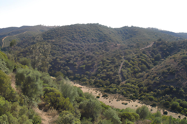 Catálogo de montes públicos de Andalucía, septiembre 2025