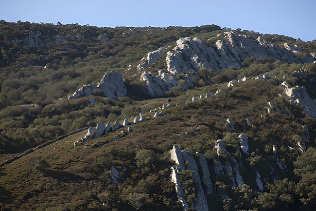 Hábitats de interés comunitario de Andalucía