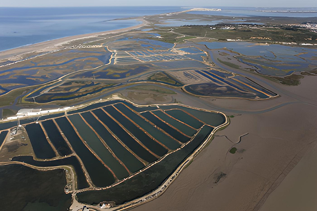 Fichas descriptivas de condicionantes ambientales