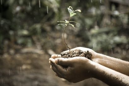 Normativa sobre cambio climático en Andalucía - Enlace