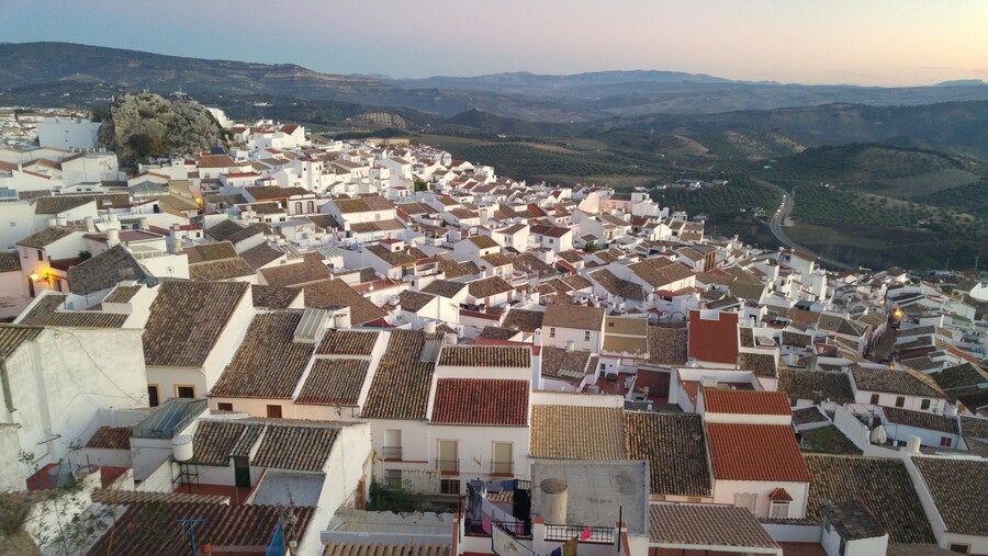 La Junta remite al Parlamento el balance de sus objetivos en la lucha contra el cambio climático