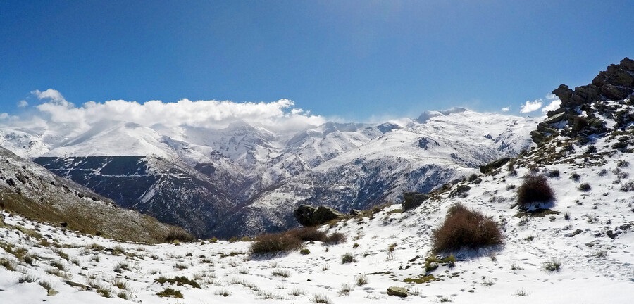 Observatorio de Cambio Global de Sierra Nevada - Enlace