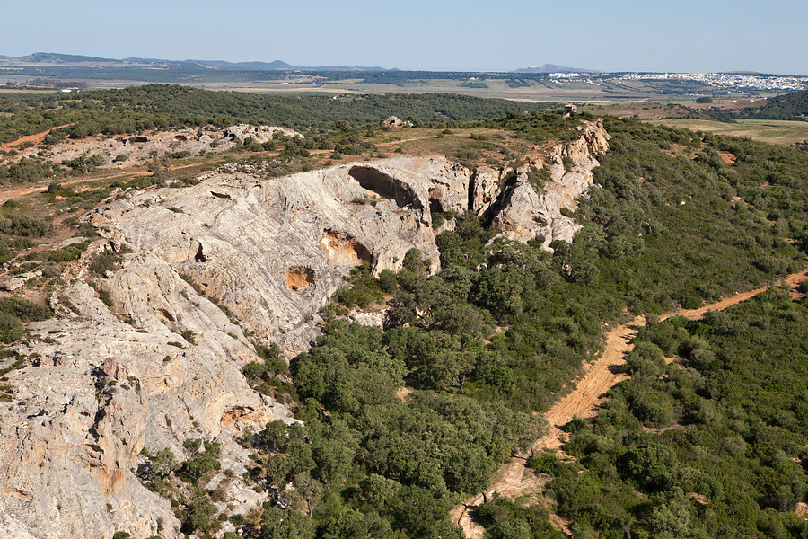 Parque Natural de Los Alcornocales