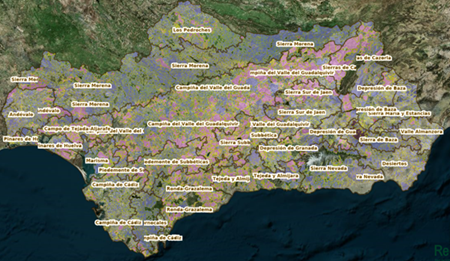 REDIAM. WMS-WFS Terrenos cinegéticos de Andalucía vigentes