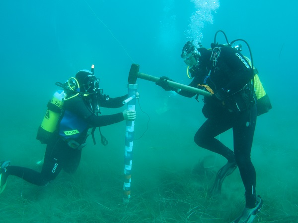 Enlace - Indicadores de Biodiversidad Marina