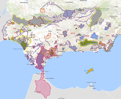 REDIAM. WMS-WFS Red de Espacios Naturales Protegidos de Andalucía (RENPA) a escala de detalle y semidetalle
